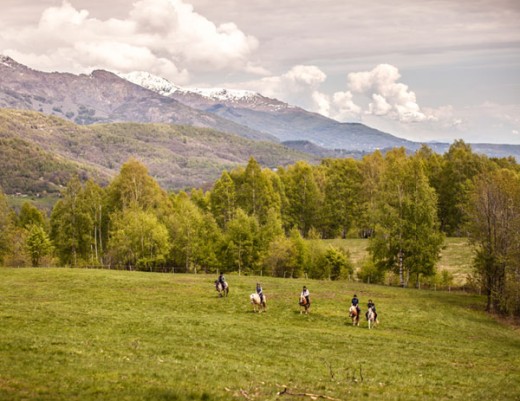 Actividad rutas a caballo. Casas rurales en Yeste - Casas Rural Amables